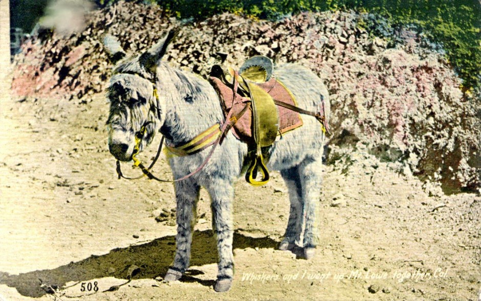 Mount Lowe Preservation Society Inc. Collection