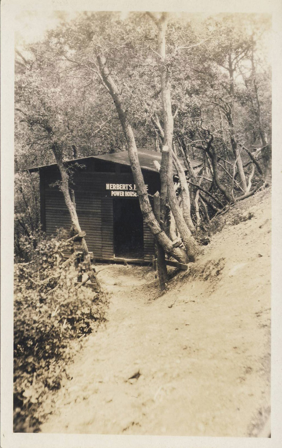Real Photo Postcard, Mount Lowe Preservation Society Collection, donated by Vic McVey